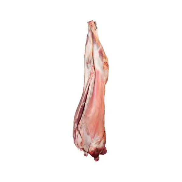 Somali Goat - Image 2
